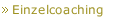 Einzelcoaching